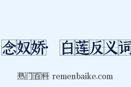 念奴娇·白莲反义词是什么意思的图片